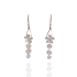 Crystel Flower With Dangled Zircons Earrings